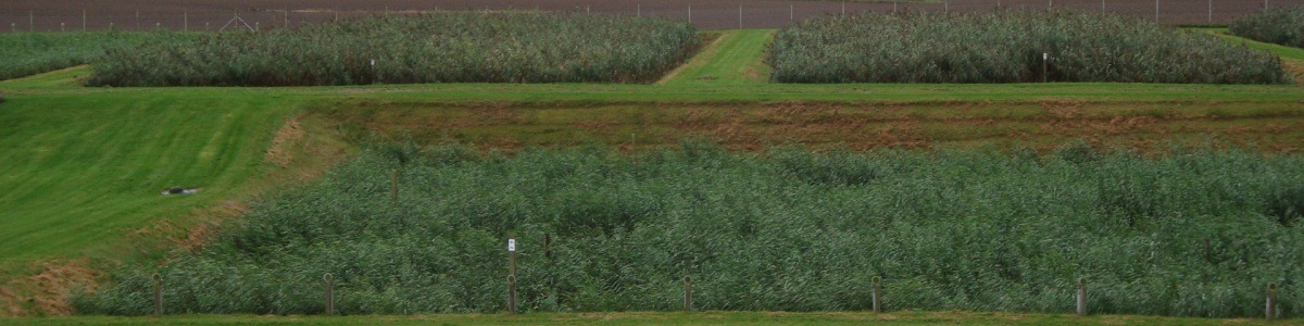 nordborg strbs dk.jpg
